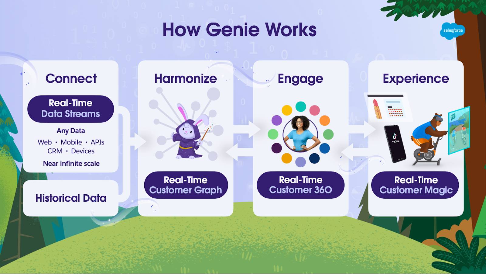 了解 Salesforce Genie
